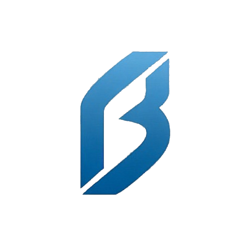 BraveStocks